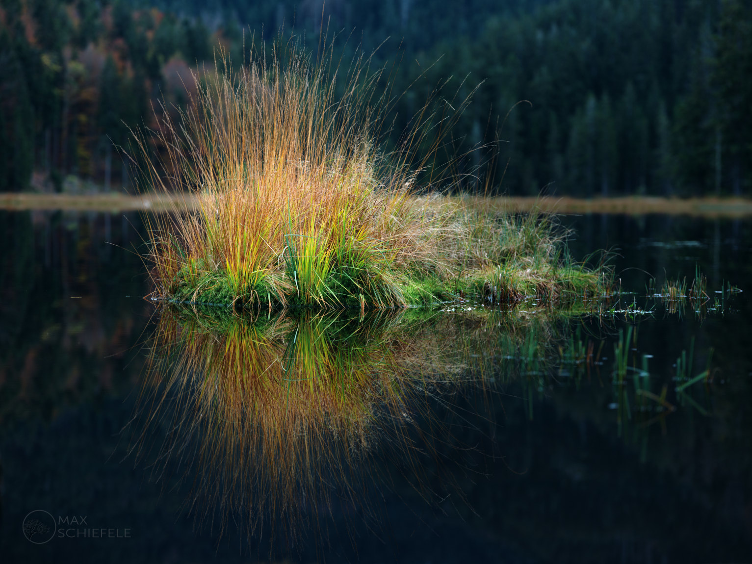 Kleiner Arbersee